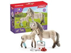 sarcia.eu SLH42430 Schleich Horse Club - Súprava prvej pomoci pre Islandské kone 5+ Hannah 