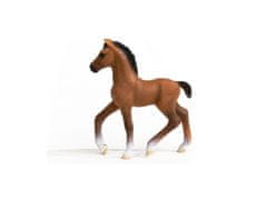 sarcia.eu SLH13947 Schleich Horse Club - Starosta mladoburčiak, figurína pre deti od 3 rokov 