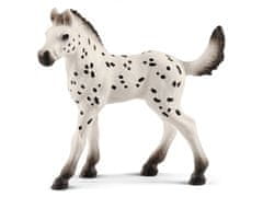 sarcia.eu SLH13890 Schleich Horse Club - Hřebče rasy Knabstrupper, figurka pro děti od 3 let 