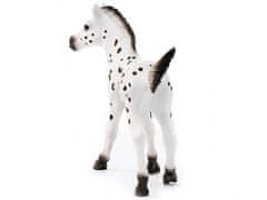 sarcia.eu SLH13890 Schleich Horse Club - Hřebče rasy Knabstrupper, figurka pro děti od 3 let 