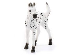 sarcia.eu SLH13890 Schleich Horse Club - Hřebče rasy Knabstrupper, figurka pro děti od 3 let 