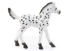 sarcia.eu SLH13890 Schleich Horse Club - Hřebče rasy Knabstrupper, figurka pro děti od 3 let 