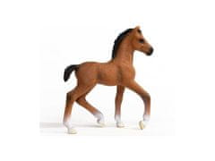 sarcia.eu SLH13947 Schleich Horse Club - Starosta mladoburčiak, figurína pre deti od 3 rokov 