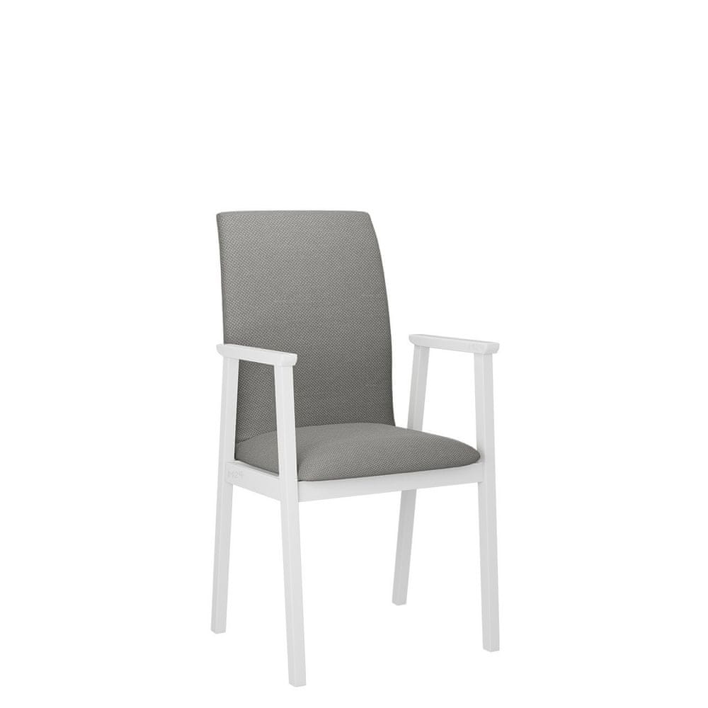 Veneti Čalúnená jedálenská stolička s podrúčkami NASU 1 - biela / šedá