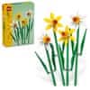 Botanicals 40747 Narcisy