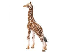 sarcia.eu Schleich Wild Life - Mladá žirafa, figurína pre deti od 3 rokov 
