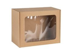 sarcia.eu Obdĺžniková darčeková škatuľa s okienkom, darčeková škatuľa 25x20x10 cm x5