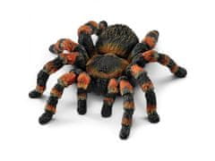 sarcia.eu SLH14829 Schleich Wild Life - Pavián tarantula, figurka pre deti od 3 rokov + 