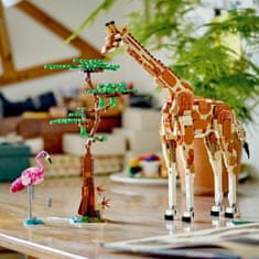 LEGO Creator 31150 Divoké zvieratá zo safari