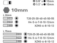 Extol Craft Hroty IMBUS-TORX-XZN, sada 40ks, pre račne 3/8", 1/2", CrV