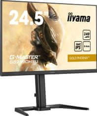 iiyama G-Master GB2590HSU-B5 - LED monitor 24,5"