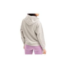 Champion Mikina sivá 173 - 177 cm/L Hooded Sweatshirt