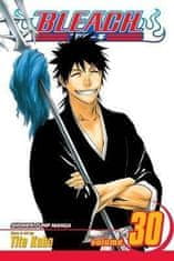 Bleach 30 (anglicky)