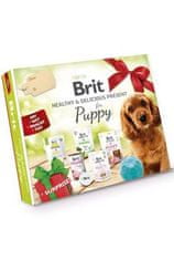 Brit Care Box Dog Puppy Healthy & Delicious 2023