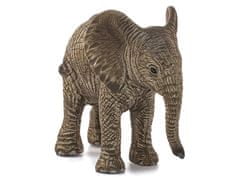 sarcia.eu SLH14763 Schleich Wild Life - Mladý africký slon, figurka pre deti od 3 rokov + 