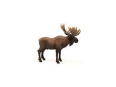 sarcia.eu SLH14781 Schleich Wild Life - Samček losa, figurka pre deti od 3 rokov + 