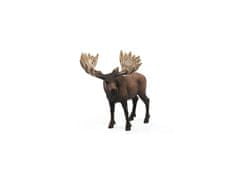 sarcia.eu SLH14781 Schleich Wild Life - Samček losa, figurka pre deti od 3 rokov + 