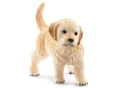 sarcia.eu SLH16396 Schleich Farm World - Šteniatko plemena Golden Retriever, figurka pre deti od 3 rokov