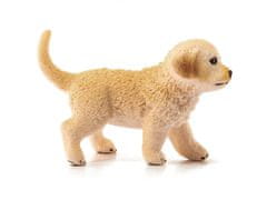 sarcia.eu SLH16396 Schleich Farm World - Šteniatko plemena Golden Retriever, figurka pre deti od 3 rokov