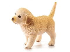 sarcia.eu SLH16396 Schleich Farm World - Šteniatko plemena Golden Retriever, figurka pre deti od 3 rokov