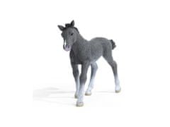 sarcia.eu SLH13944 Schleich Horse Club - Trakenen hřebec, figurka koně pro děti od 5 let
