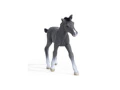 sarcia.eu SLH13944 Schleich Horse Club - Trakenen hřebec, figurka koně pro děti od 5 let