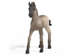 sarcia.eu SLH13949 Schleich Horse Club - Criollo Definitivo hřebec, figurína koně pro děti od 5 let