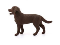 sarcia.eu Schleich Farm World - Figurína psa plemene labrador retriever, sučka, pro děti od 3 let