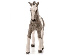 sarcia.eu SLH13774 Schleich Farm World - Koník mláďa rasy Tinker, figurína pre deti od 3 rokov