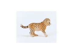 sarcia.eu SLH14866 Schleich Wild Life - Mladý gepard, figurína pre deti od 3 rokov