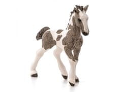 sarcia.eu SLH13774 Schleich Farm World - Koník mláďa rasy Tinker, figurína pre deti od 3 rokov