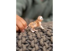 sarcia.eu SLH14866 Schleich Wild Life - Mladý gepard, figurína pre deti od 3 rokov