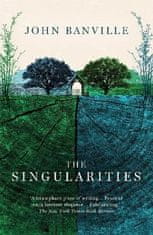 John Banville: The Singularities