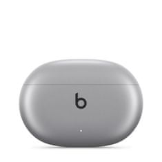 Beats Studio Buds +/ANC/BT/Bezdrať/Cosmic Silver