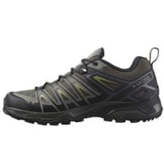 Salomon Obuv treking 45 1/3 EU X Ultra Pioneer Gtx