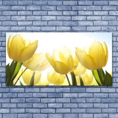 tulup.sk Skleneny obraz Tulipány kvety lúče 140x70 cm 2 Prívesky