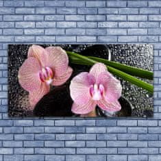 tulup.sk Skleneny obraz Kvety orchidea kamene zen 140x70 cm 2 Prívesky