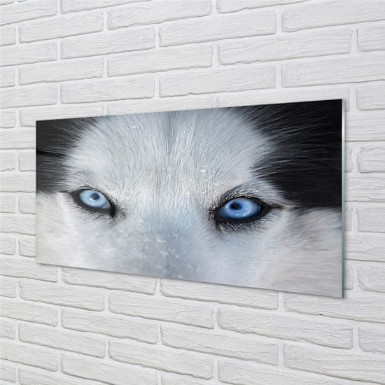 tulup.sk Nástenný panel  wolf Eyes