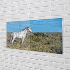 tulup.sk Nástenný panel  Unicorn Golf 125x50 cm