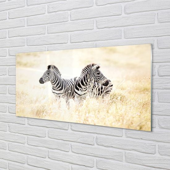 tulup.sk Nástenný panel  zebra box