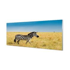 tulup.sk Nástenný panel  Zebra box 140x70 cm