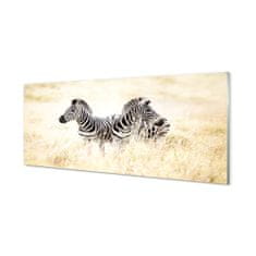 tulup.sk Nástenný panel  zebra box 140x70 cm