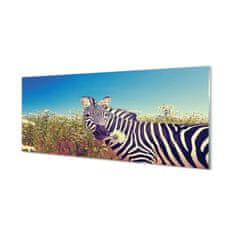 tulup.sk Obraz na akrylátovom skle Zebra kvety 120x60 cm 4 Prívesky