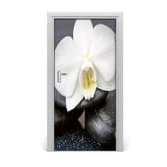 tulup.sk Fototapeta na dvere orchidea zen 95x205 cm