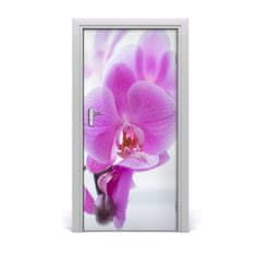 tulup.sk Fototapeta na dvere ružová orchidea 95x205 cm