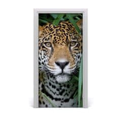 tulup.sk Fototapeta samolepiace na dvere Amazónie jaguár 95x205 cm