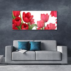 tulup.sk Skleneny obraz Tulipány kvety rastlina 125x50 cm 2 Prívesky