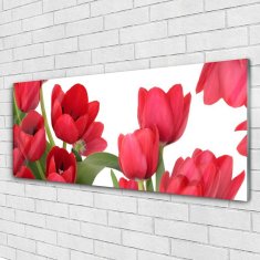 tulup.sk Skleneny obraz Tulipány kvety rastlina 125x50 cm 2 Prívesky