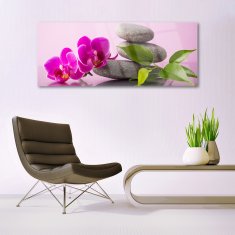 tulup.sk Skleneny obraz Kvet kamene zen rastlina 125x50 cm 2 Prívesky