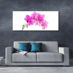 tulup.sk Skleneny obraz Vstavač kvet orchidea 125x50 cm 4 Prívesky